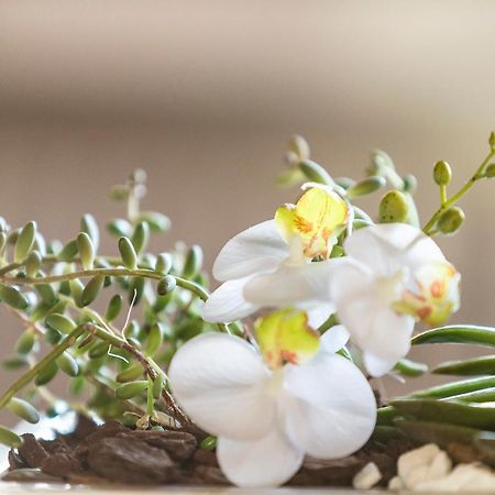 Villa Orselina - Small Luxury Hotel Muralto Zewnętrze zdjęcie