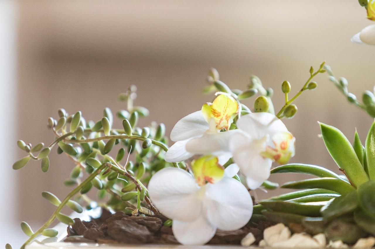 Villa Orselina - Small Luxury Hotel Muralto Zewnętrze zdjęcie